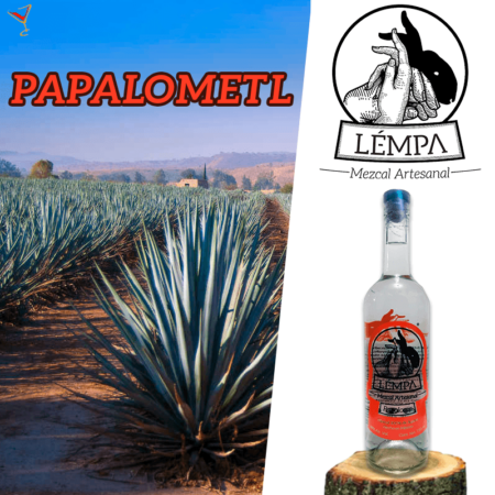 Mezcal Lémpa Papalometl
